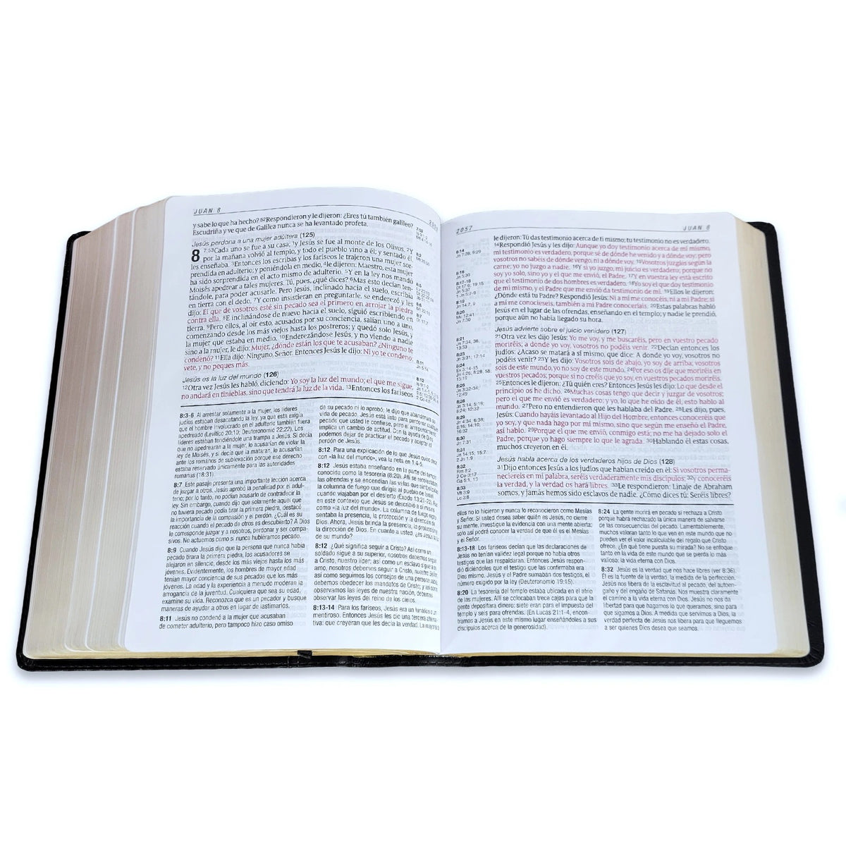 Biblia de estudio del diario vivir RVR60, letra grande