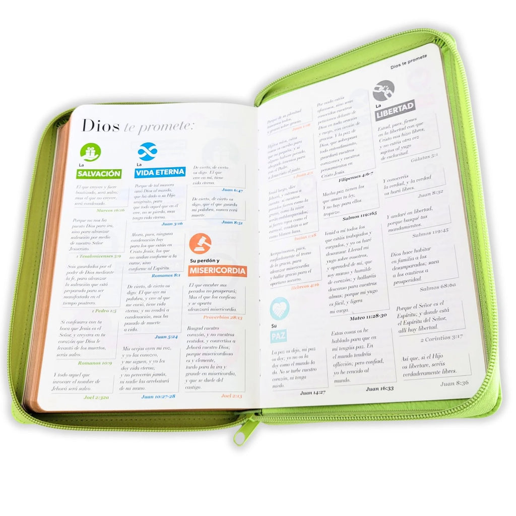 Biblia RVR60 Obsequios y premios VERDE
