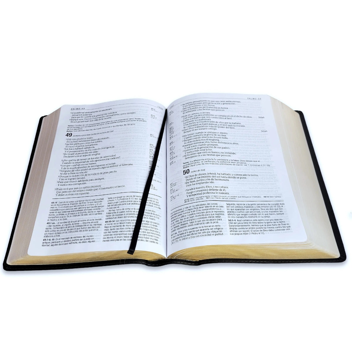 Biblia RVR 1960 de Estudio Diario Vivir Letra Grande Negro Ónice Símil Piel