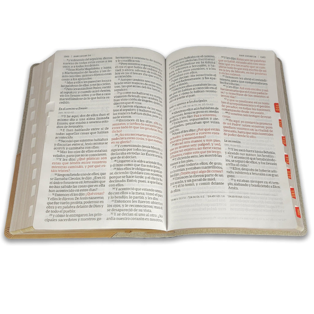 Biblia RVR 1960 Súper Gigante Gris Símil Piel con Índice