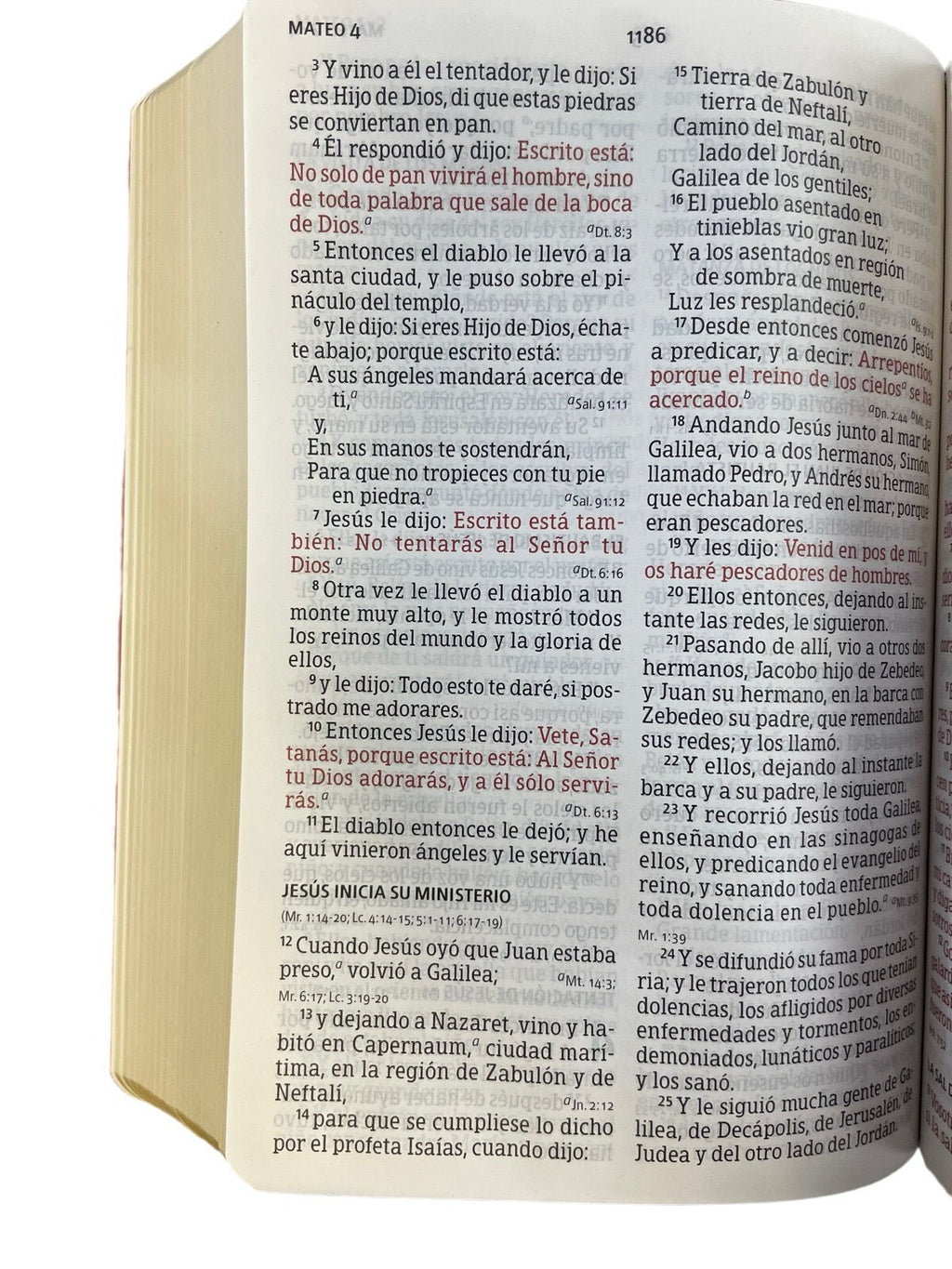 Biblia RVR 1960 Letra Grande Tamaño Manual marrón