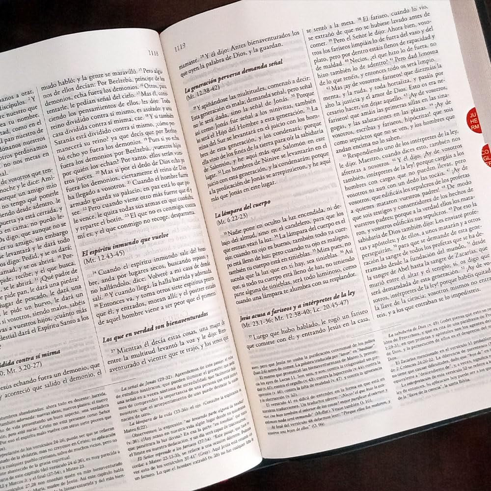 Biblia RVR 1960 de Estudio Explicada Marrón