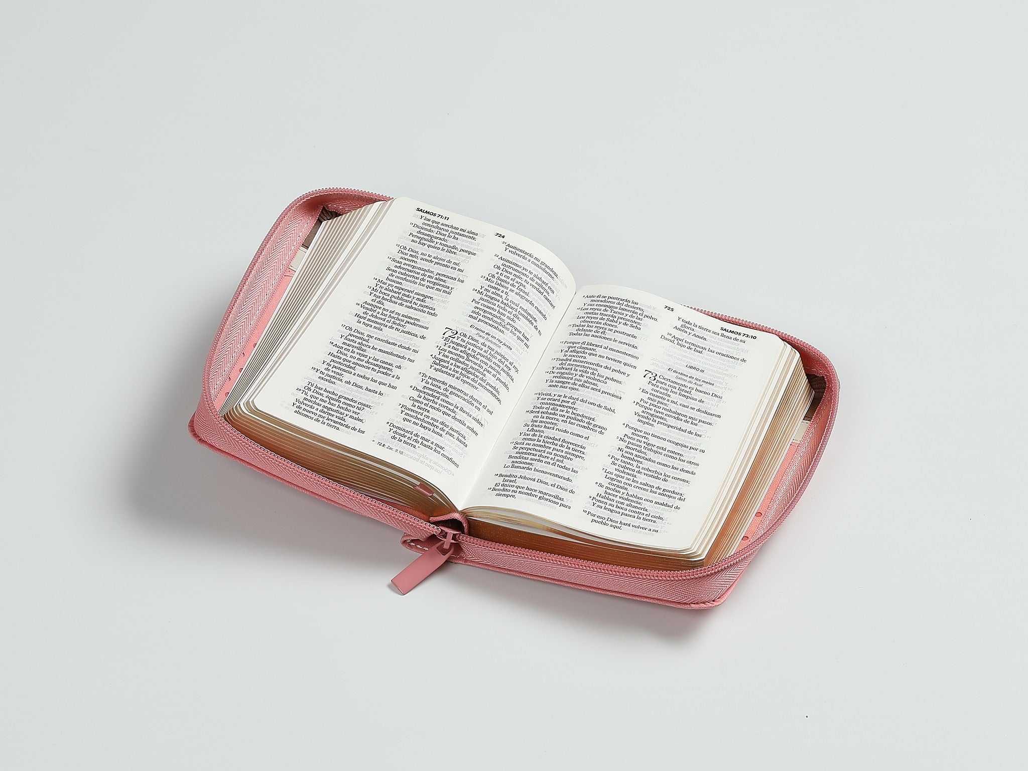 Biblia RVR60 de bolsillo Primor Café