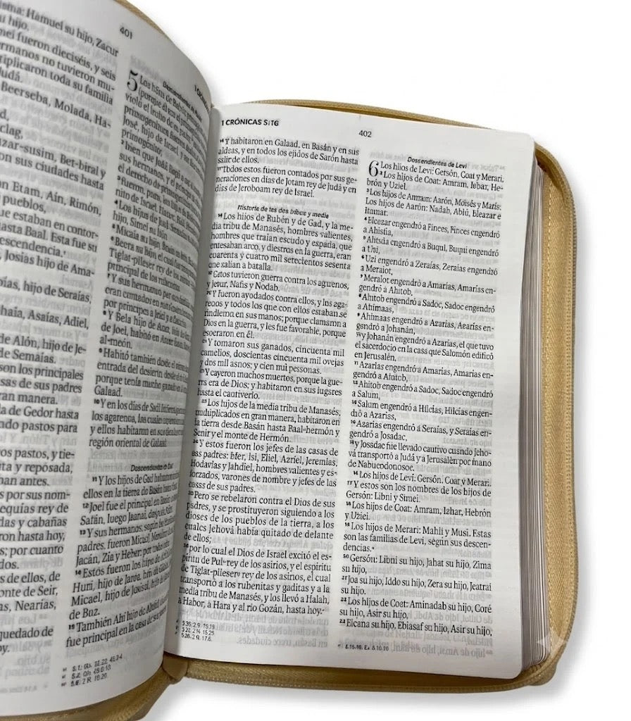 Biblia RVR60 de Obsequios y premios BEIGE floral con cierre