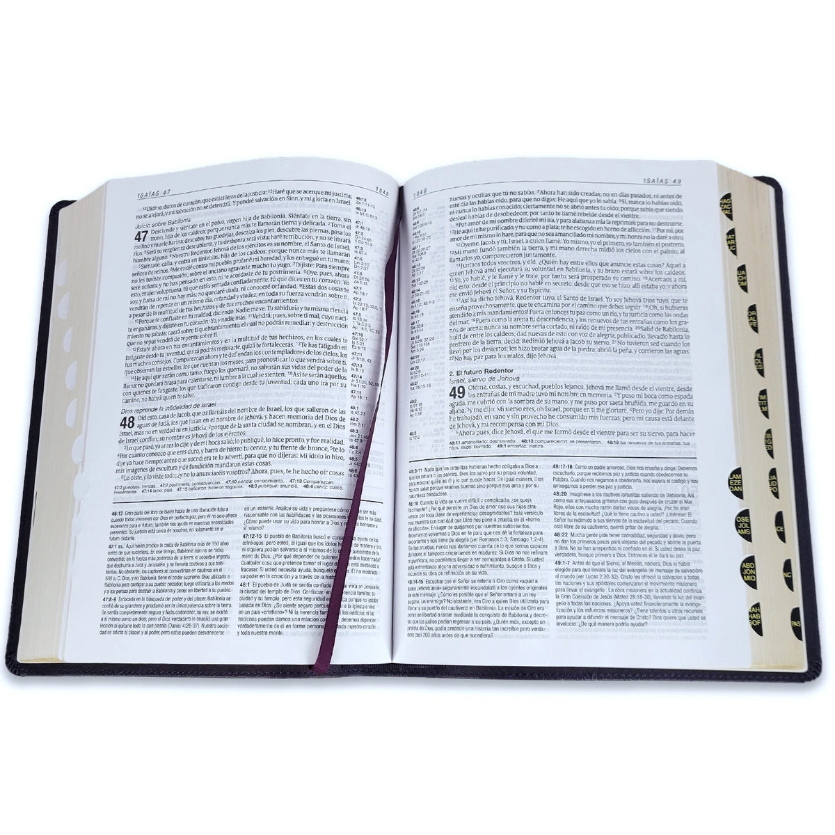 Biblia de Estudio del Diario Vivir Letra Grande RV1960, imit. piel morado oscuro con índice  SKU: