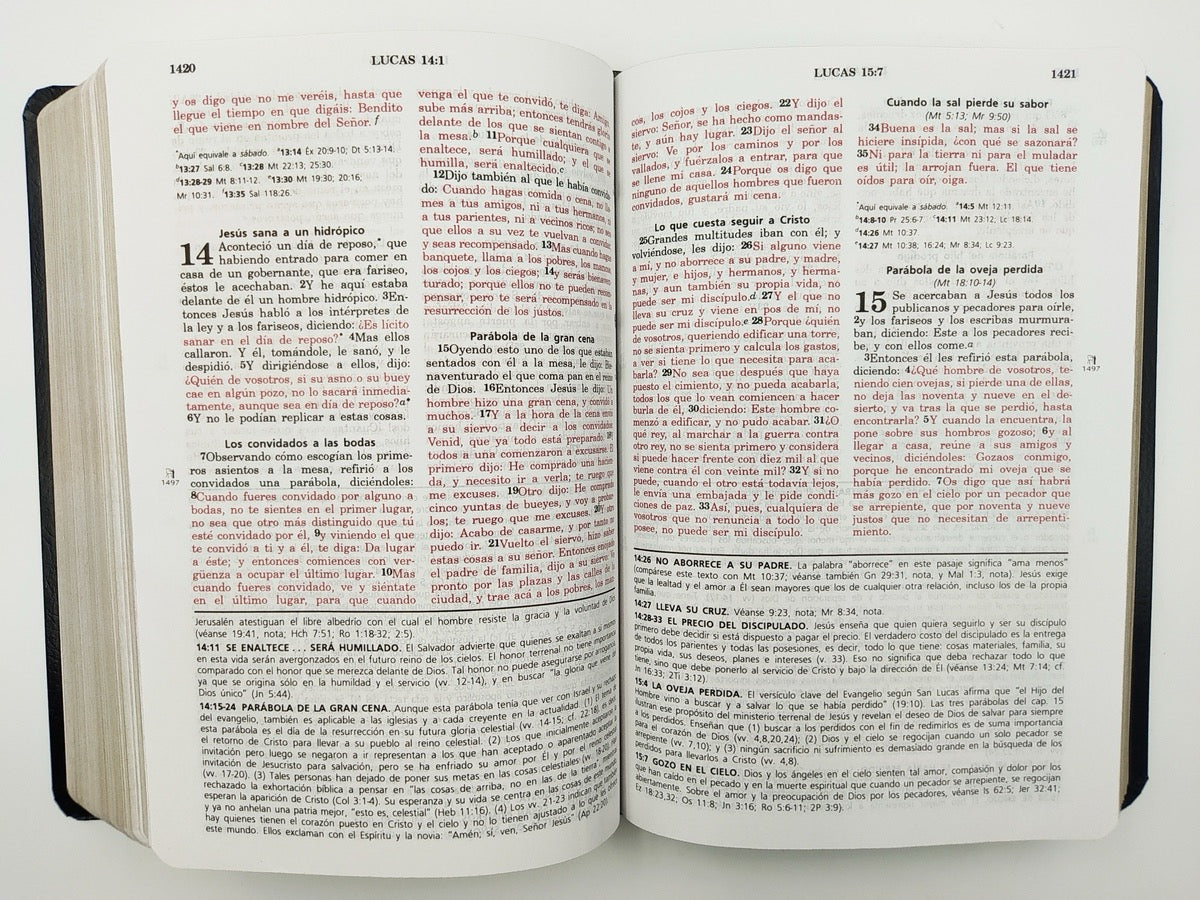 Biblia de estudio Vida Plena RVR60 piel Negro