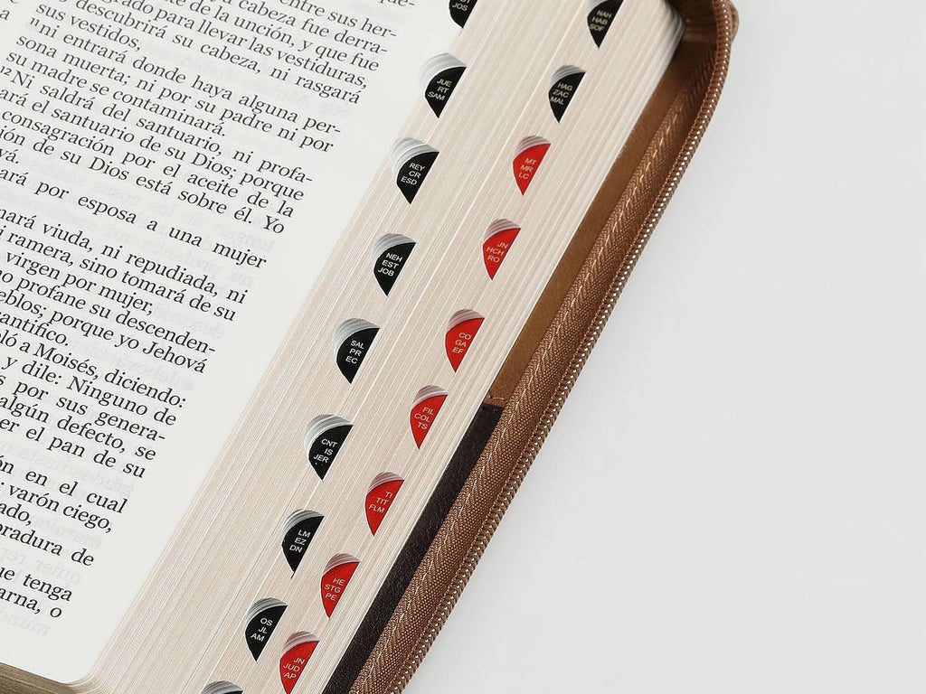 Biblia RVR60 Letra Gigante i/piel Bitono CAfé