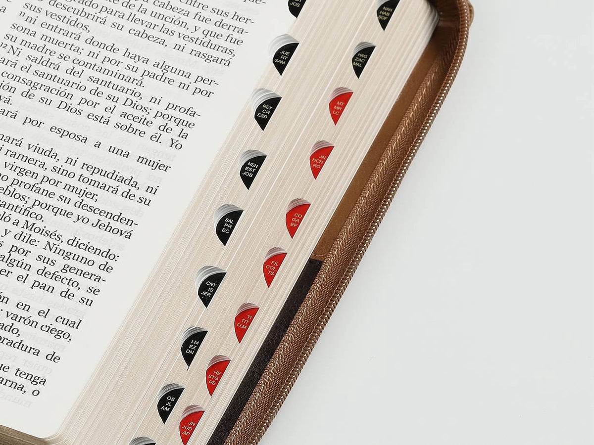 Biblia RVR60 Letra Gigante i/piel Bitono CAfé