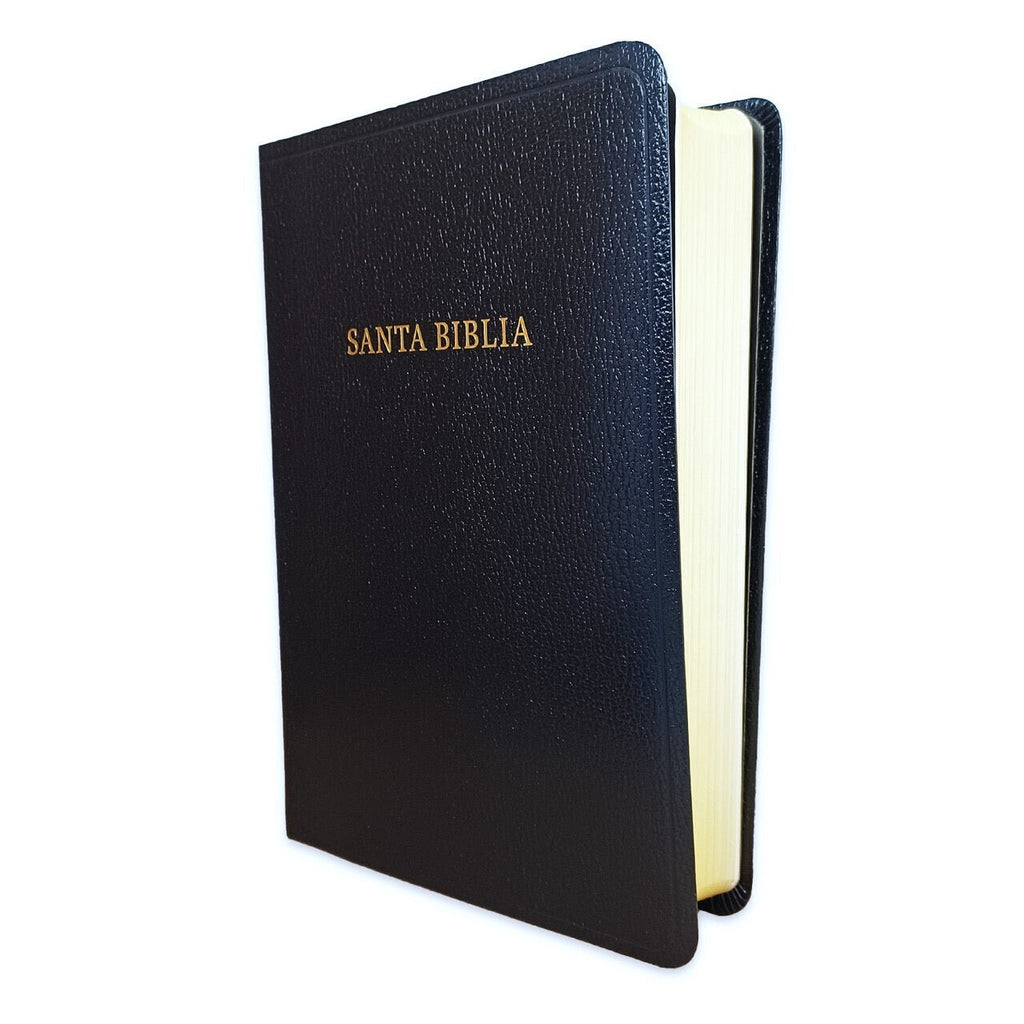 Biblia RVR 1960 Letra Grande Tamaño Manual Símil Piel Negra