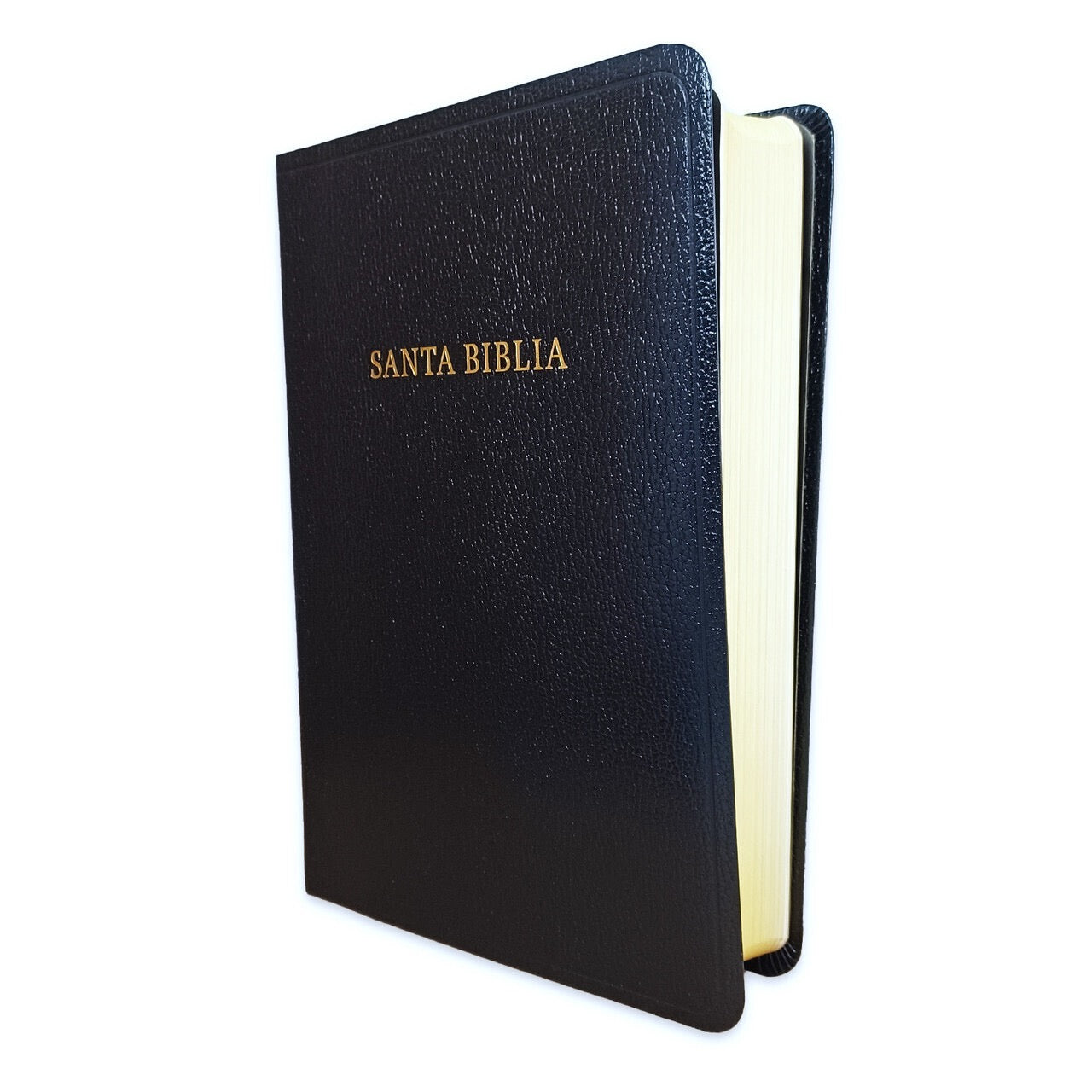 Biblia RVR 1960 Letra Grande Tamaño Manual Símil Piel Negra