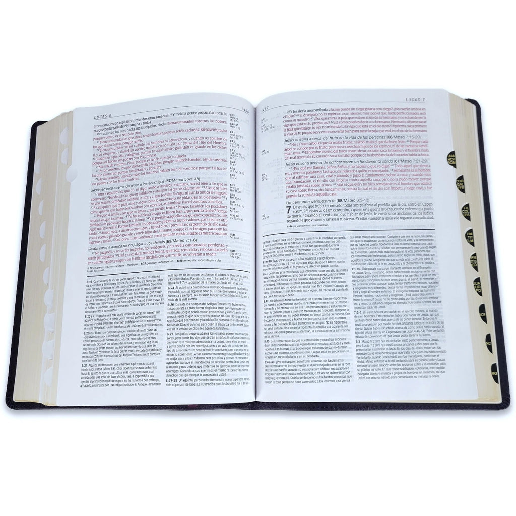 Biblia de Estudio del Diario Vivir Letra Grande RV1960, imit. piel morado oscuro con índice  SKU: