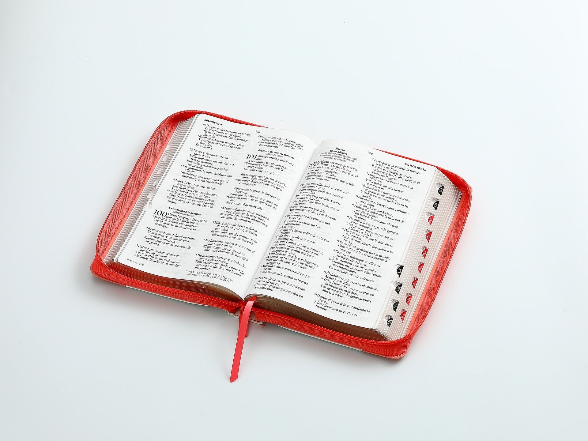 Biblia RVR60 Tamaño Manual letra grande coral