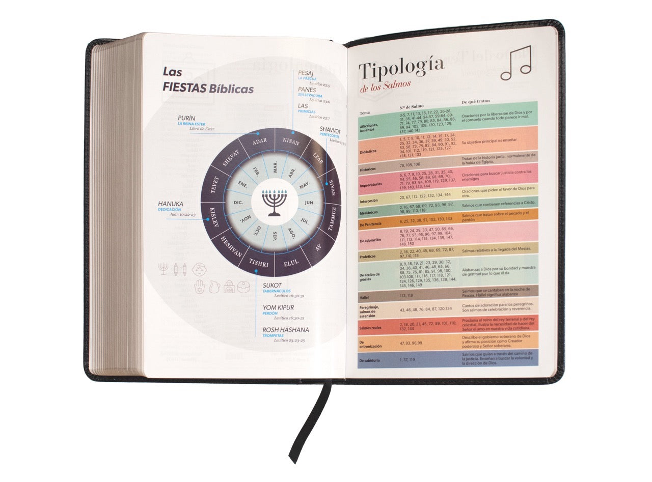 Biblia RVR60 Tamaño Manual Letra Grande negro