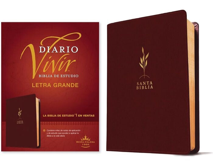 Biblia RVR 1960 de Estudio del Diario Vivir Letra Grande Símil Piel Vino Tinto Letra