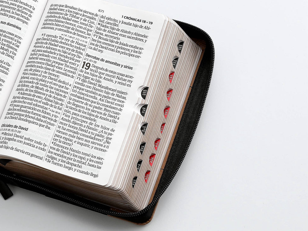 Biblia RVR60 Tamaño compacto Letra Grande 12 puntos con cierre