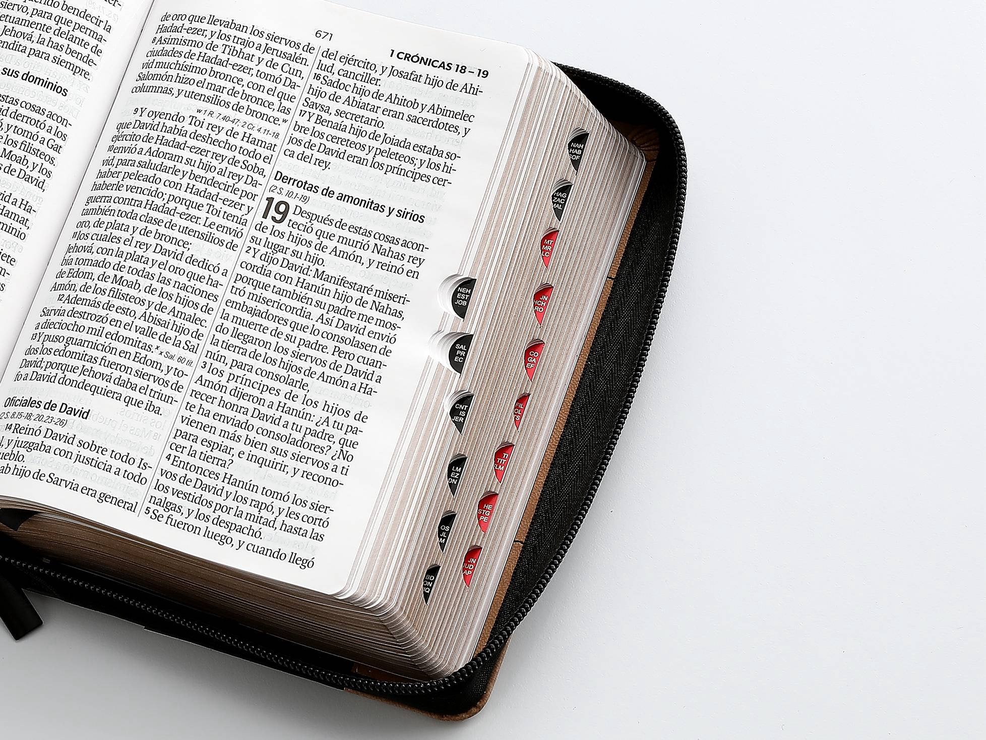 Biblia RVR60 Tamaño compacto Letra Grande 12 puntos con cierre