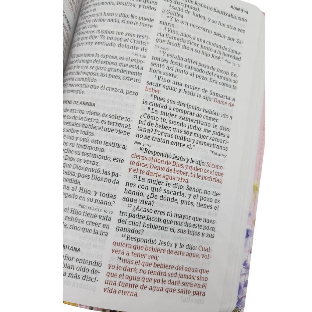 Biblia RVR 1960 Letra Grande Tamaño Manual Fucsia Símil Piel