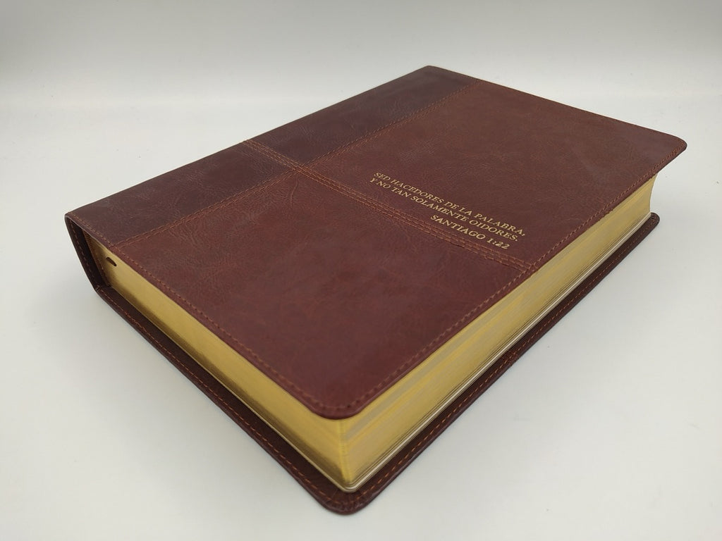 Biblia de estudio Diario Vivir RVR60 Piel Italiana Dos Tonos Marrón