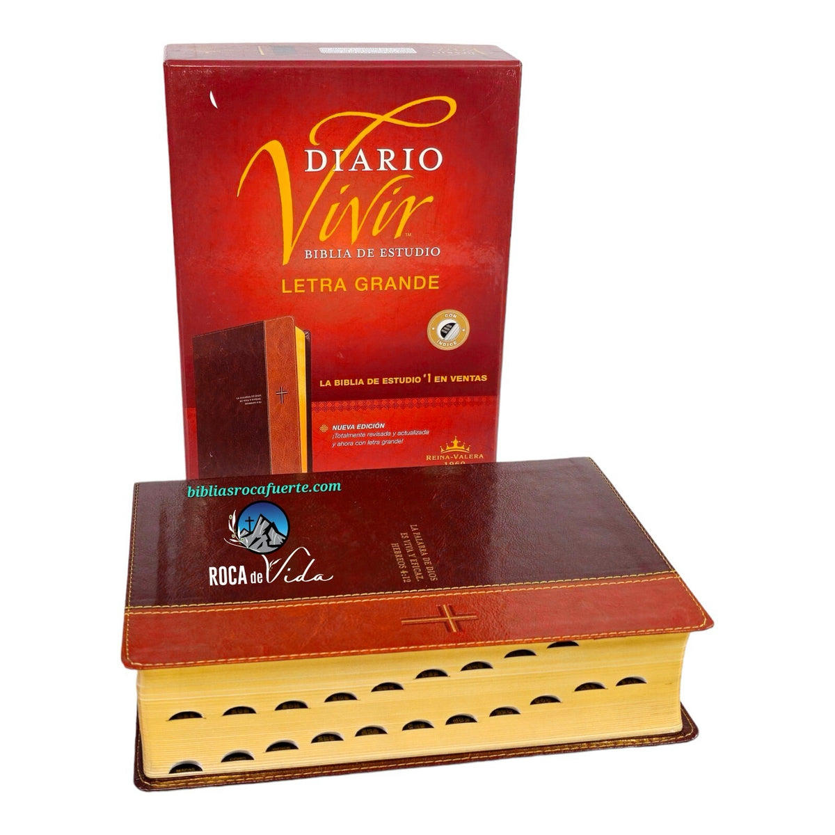 Biblia RVR 1960 de Estudio Diario Vivir Letra Grande Duotono Café Símil Piel Índice