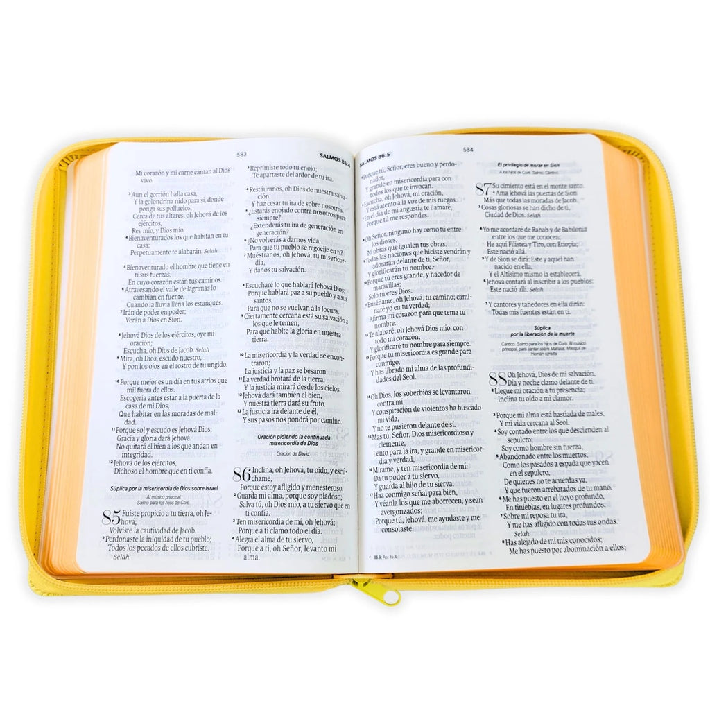 Biblia RVR60 de Obsequios y premios AMARILLO abejas con cierre