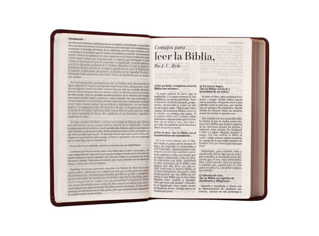 Biblia RVR60 Tamaño Manual Letra Grande café