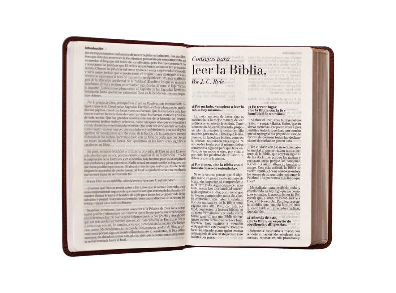 Biblia RVR60 Tamaño Manual Letra Grande café