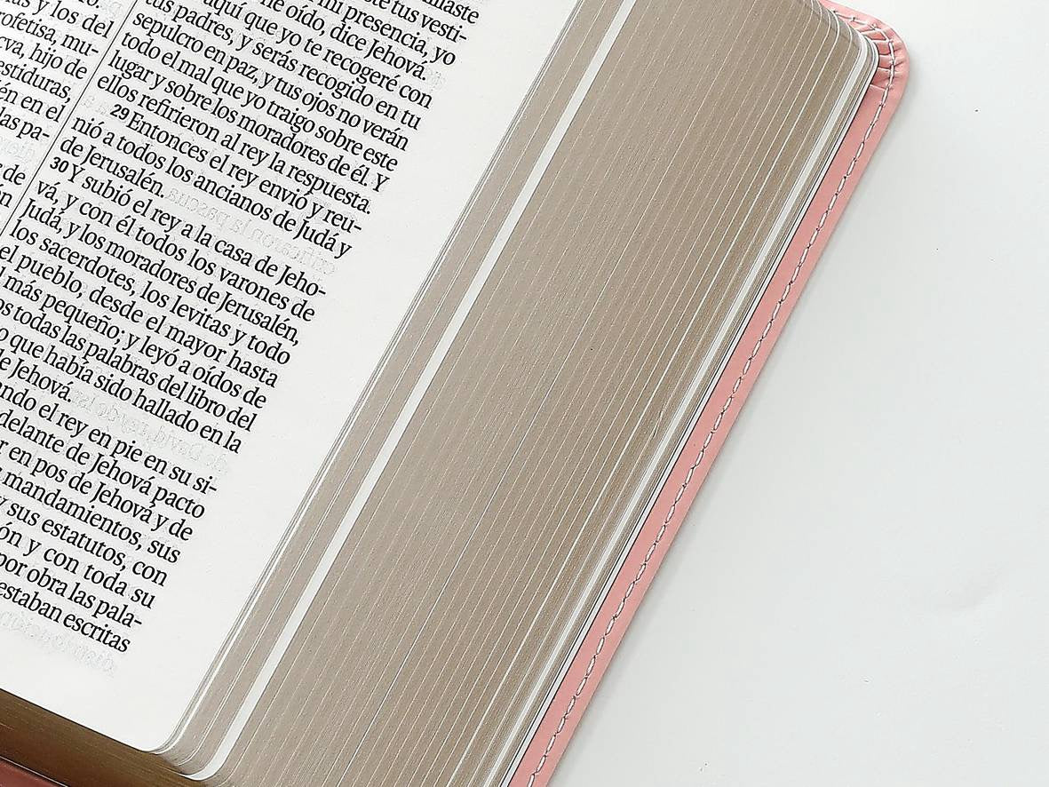 Biblia RVR60 tamaño compacto Letra Grande rosa