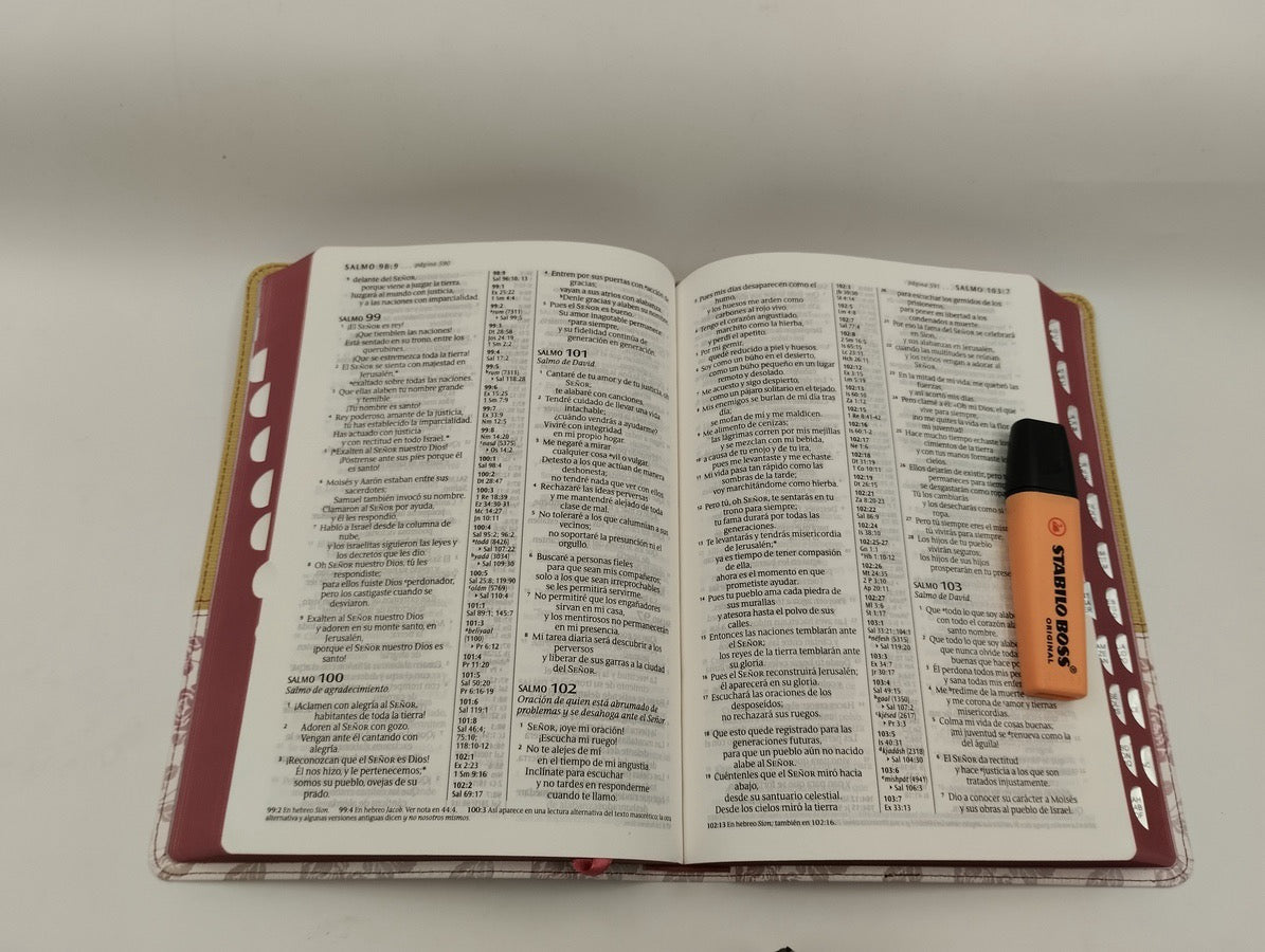 Biblia NTV Letra Grande Ultrafina de Referencias