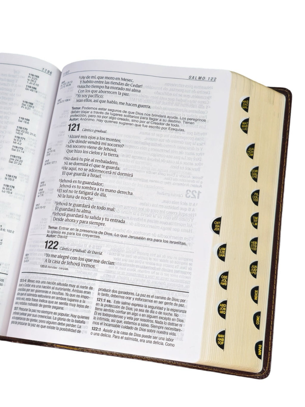 Biblia RVR 1960 de Estudio Diario Vivir Letra Grande Duotono Café Símil Piel Índice