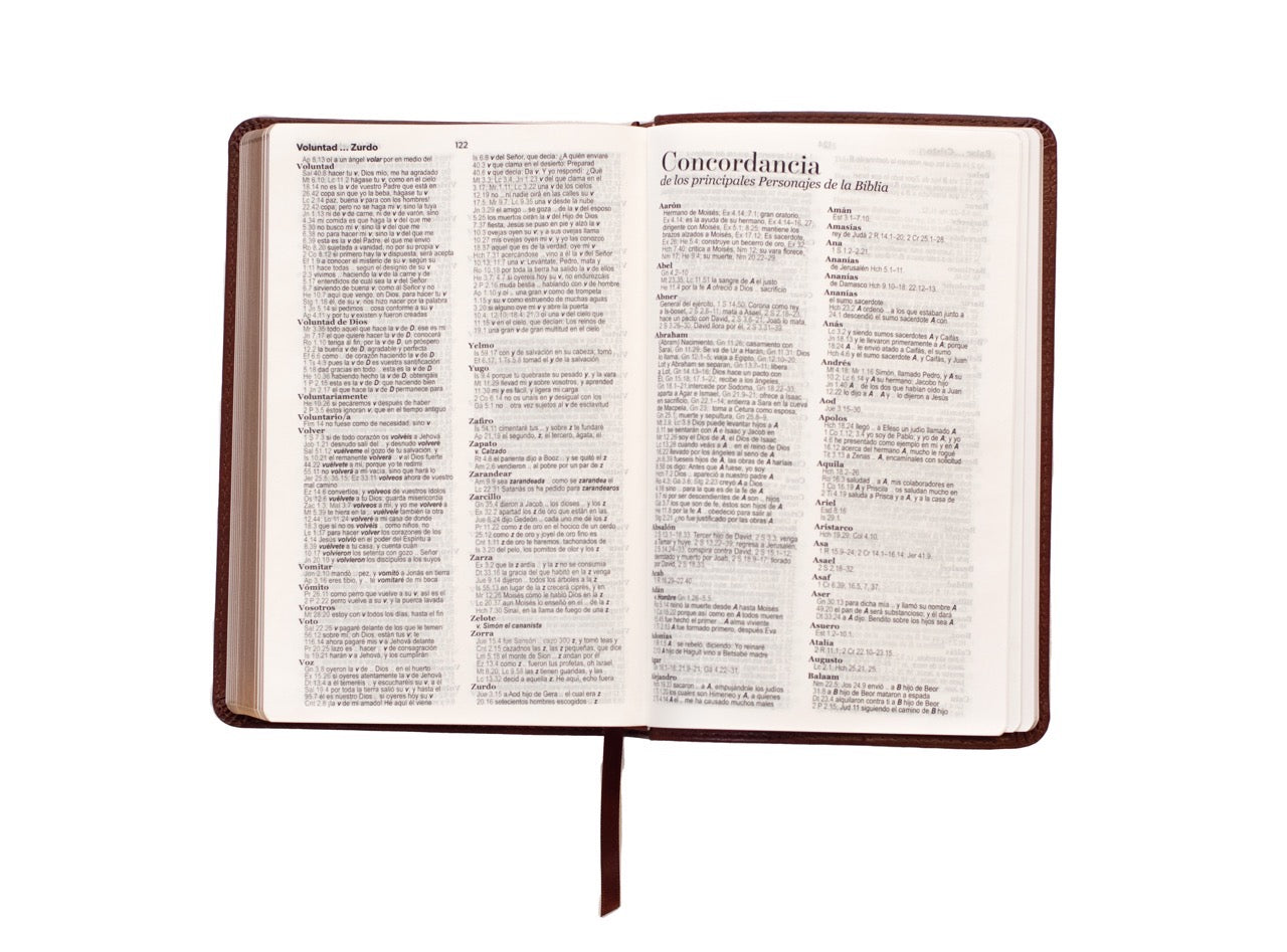 Biblia RVR60 Tamaño Manual Letra Grande café