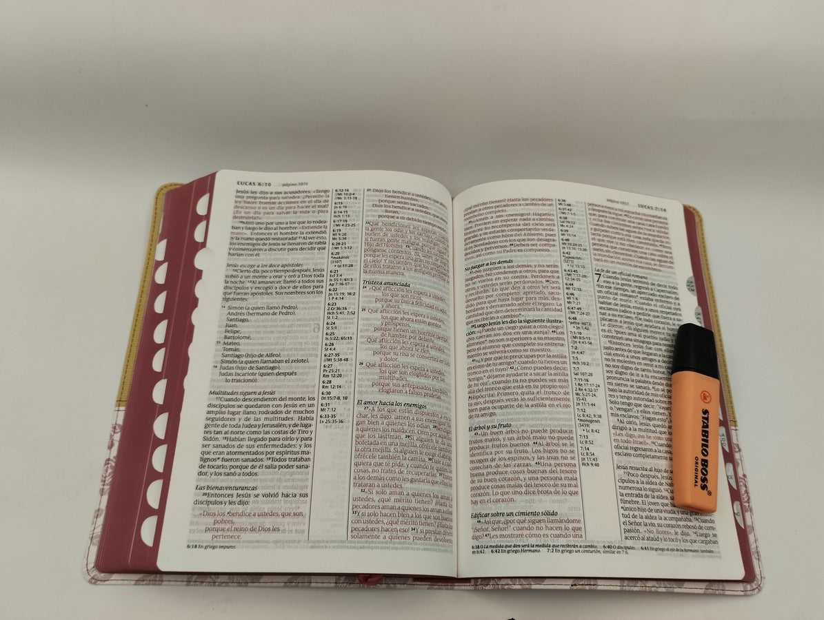 Biblia NTV Letra Grande Ultrafina de Referencias