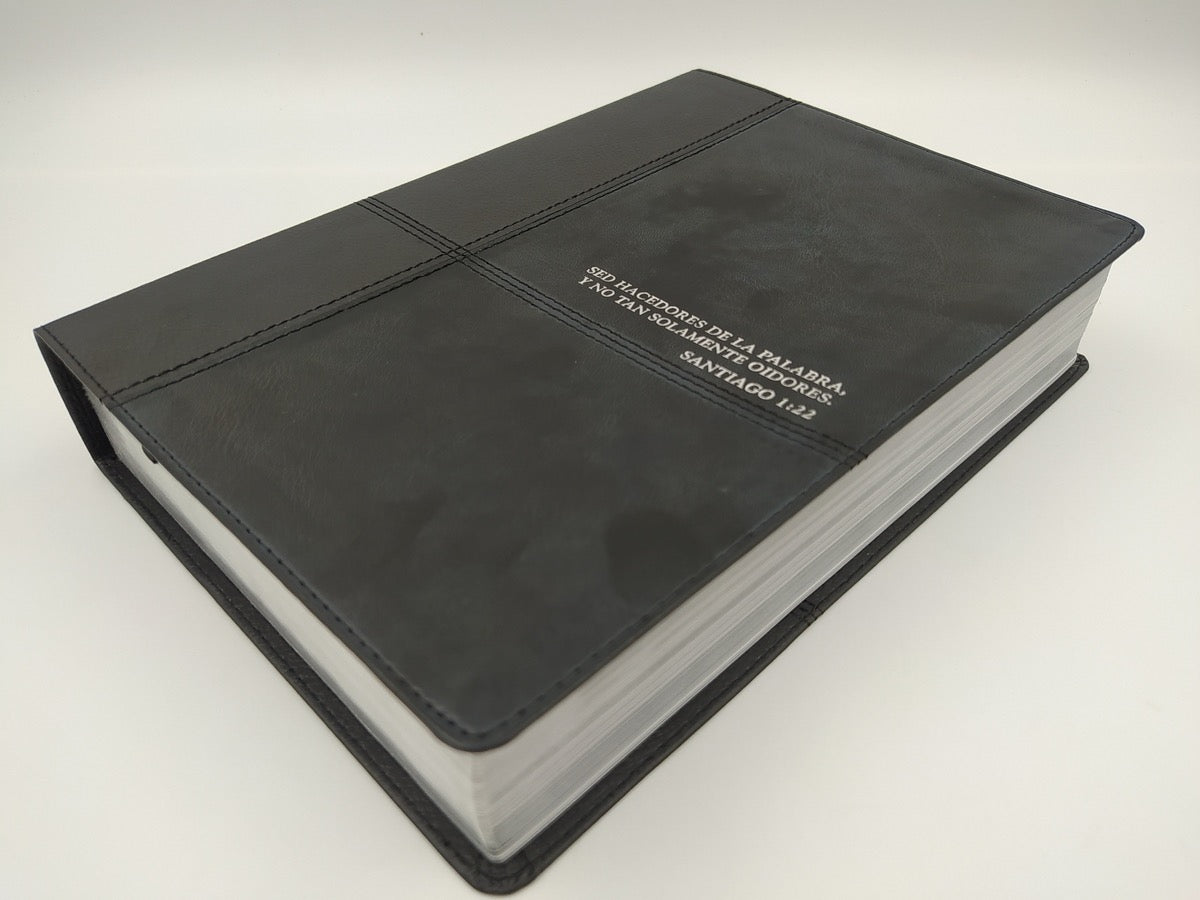 Biblia de estudio diario vivir RVR60 Piel fabricada negra