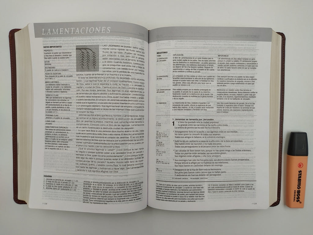 Biblia de estudio Diario Vivir RVR60 Piel Italiana Dos Tonos Marrón