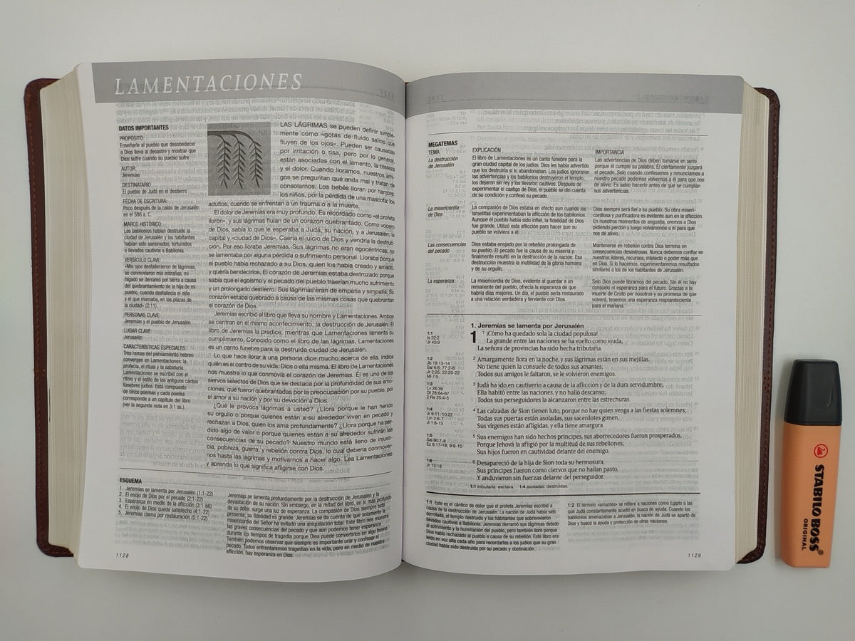 Biblia de estudio Diario Vivir RVR60 Piel Italiana Dos Tonos Marrón