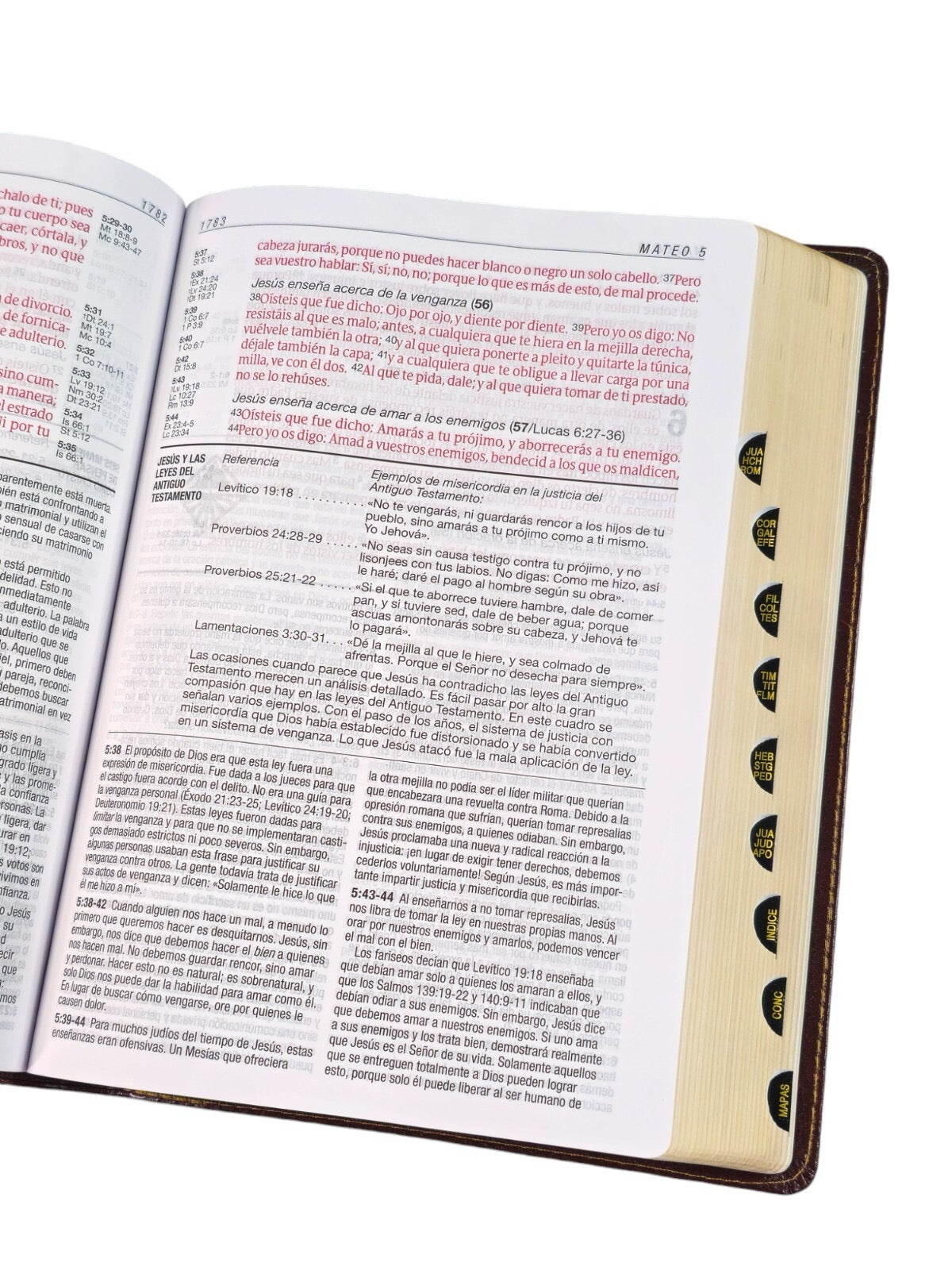 Biblia RVR 1960 de Estudio Diario Vivir Letra Grande Duotono Café Símil Piel Índice