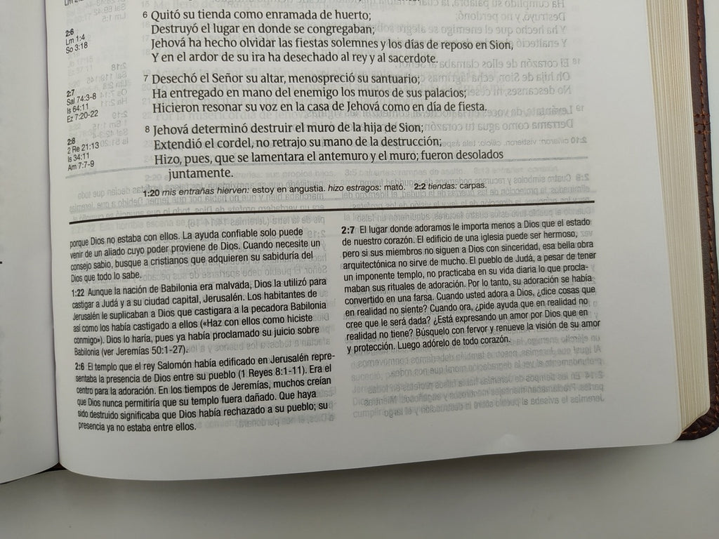 Biblia de estudio Diario Vivir RVR60 Piel Italiana Dos Tonos Marrón