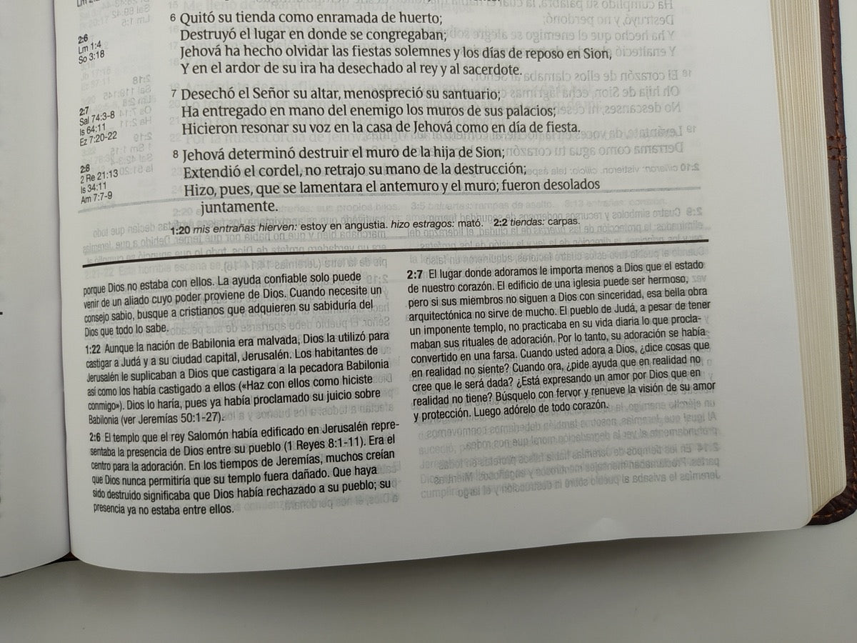 Biblia de estudio Diario Vivir RVR60 Piel Italiana Dos Tonos Marrón