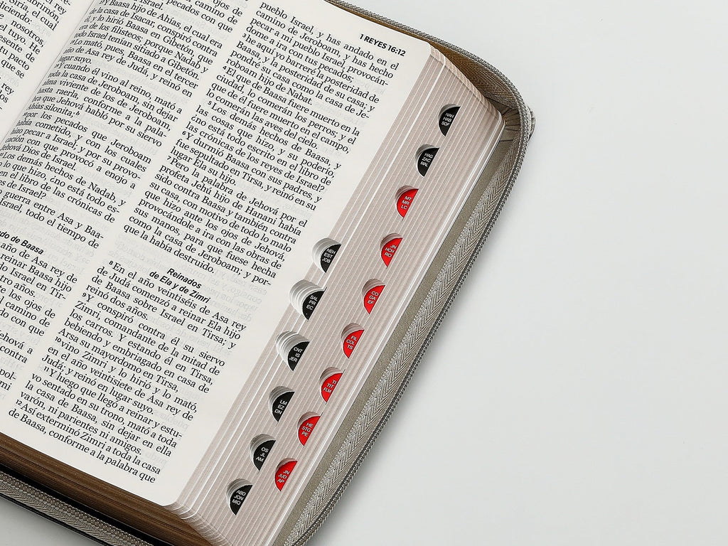 Biblia RVR60 Tamaño Manual letra grande león