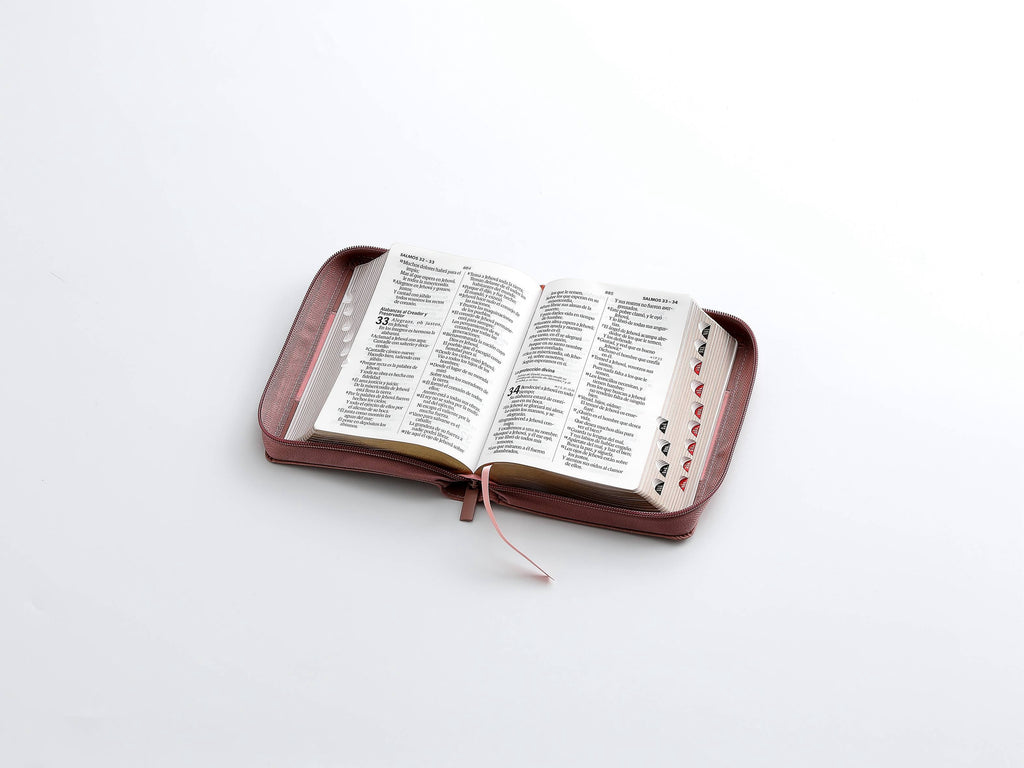 Biblia RVR60 Tamaño Compacto Letra Grande 12 puntos