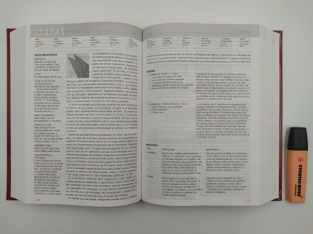 Biblia RVR 1960 de Estudio Diario Vivir Letra Grande Vino Tinto Tapa Dura