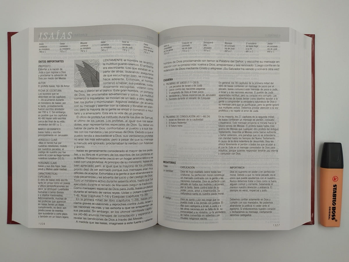 Biblia RVR 1960 de Estudio Diario Vivir Letra Grande Vino Tinto Tapa Dura