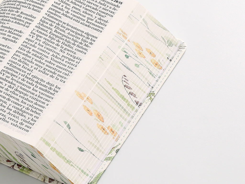 Biblia RVR60 portátil Letra Grande 11 puntos marrón