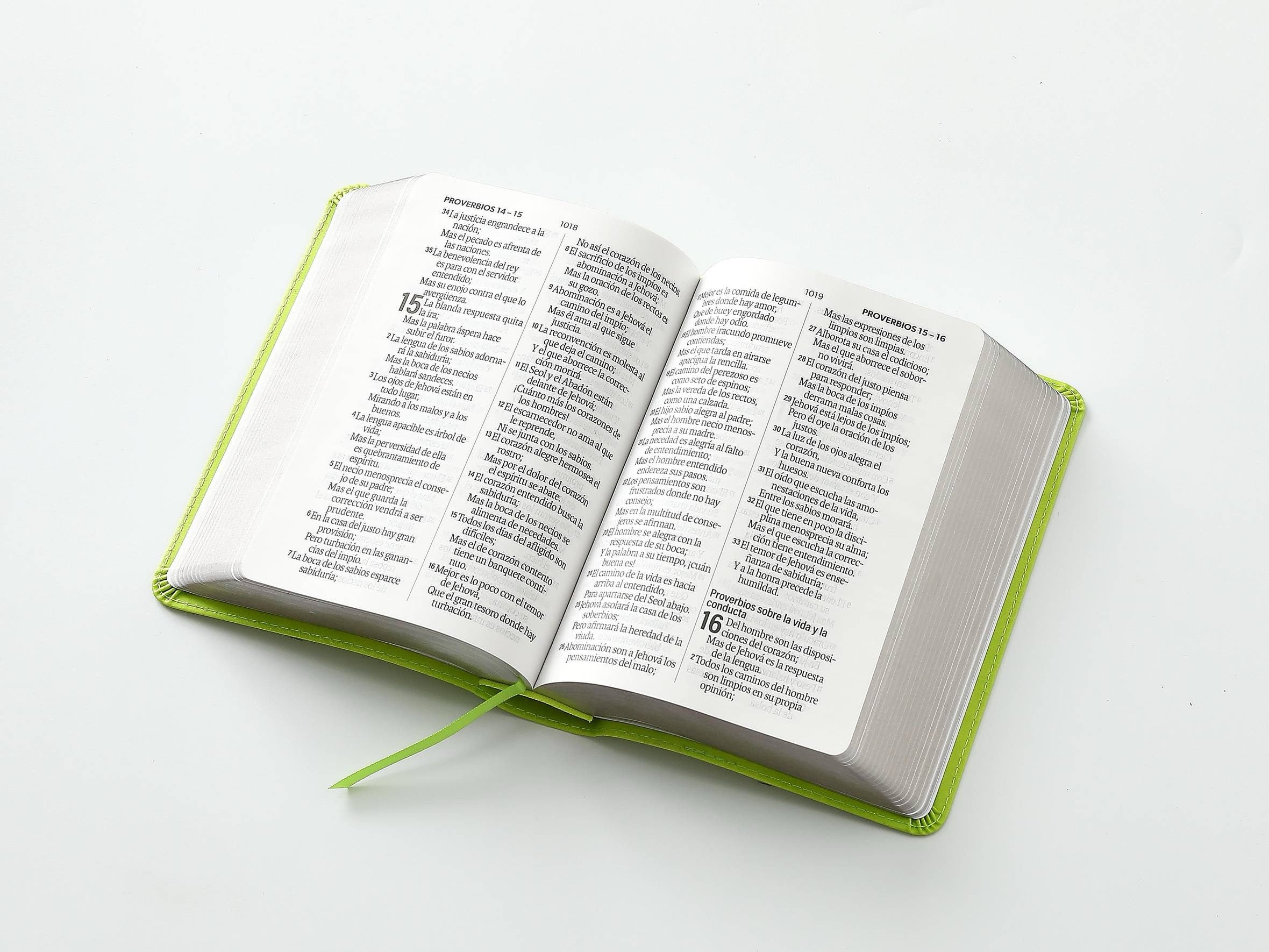Biblia RVR60 tamaño compacto Letra Grande verde lima