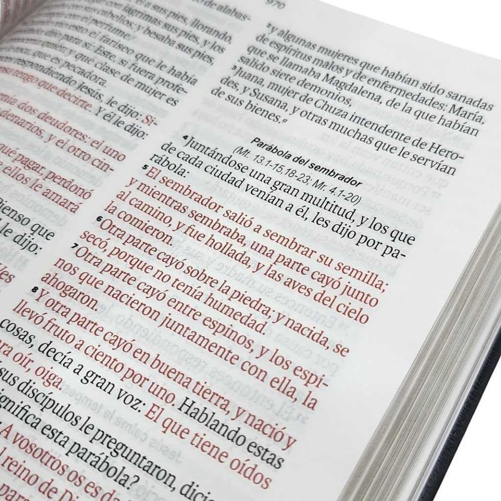 Biblia RVR60 Obsequios y premios NEGRO