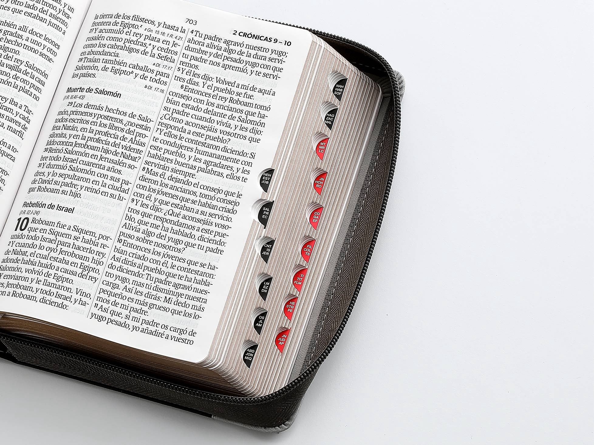 Biblia RVR60 Tamaño compacto Letra Grande 12 puntos león