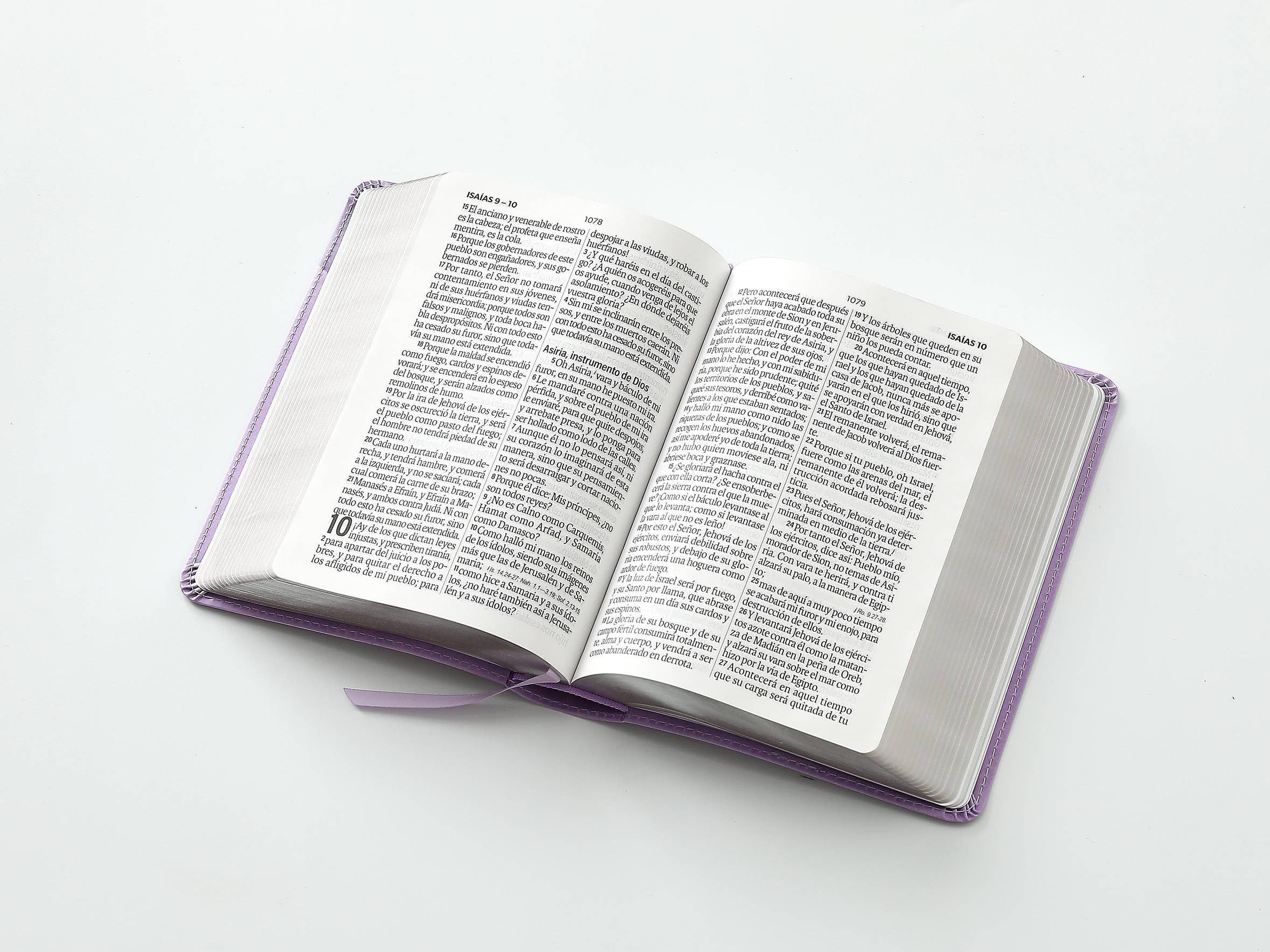 Biblia RVR60 tamaño compacto Letra Grande