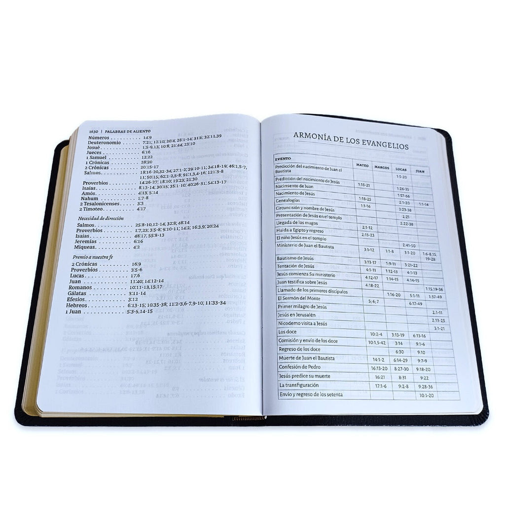 Biblia RVR 1960 Letra Grande Tamaño Manual Símil Piel Negra