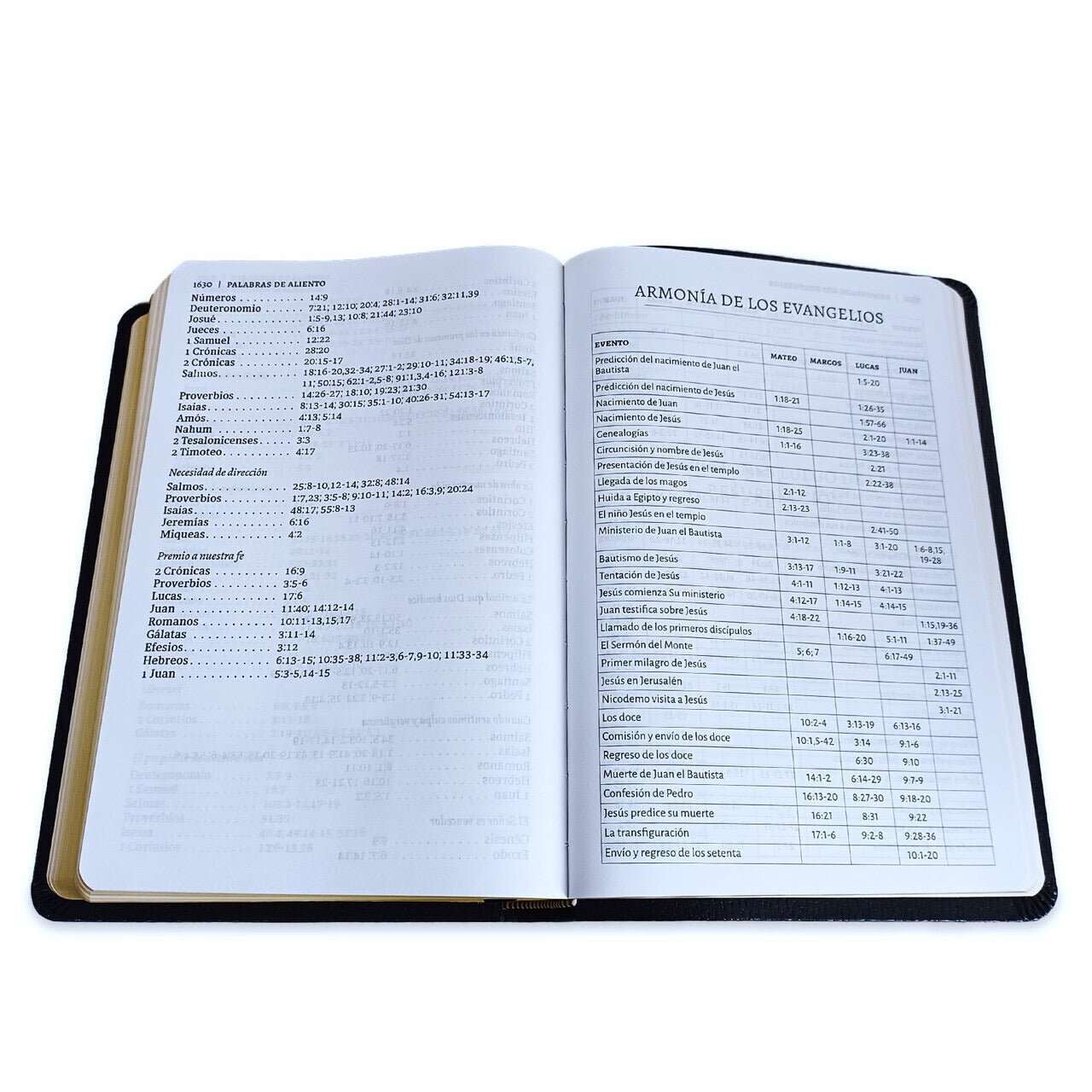 Biblia RVR 1960 Letra Grande Tamaño Manual Símil Piel Negra