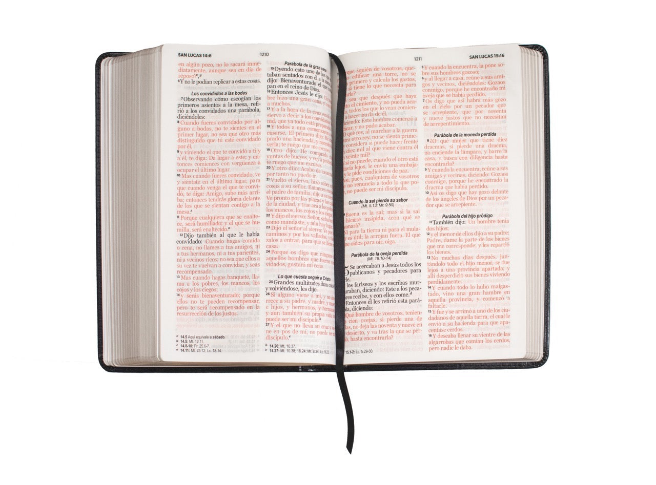 Biblia RVR60 Tamaño Manual Letra Grande café