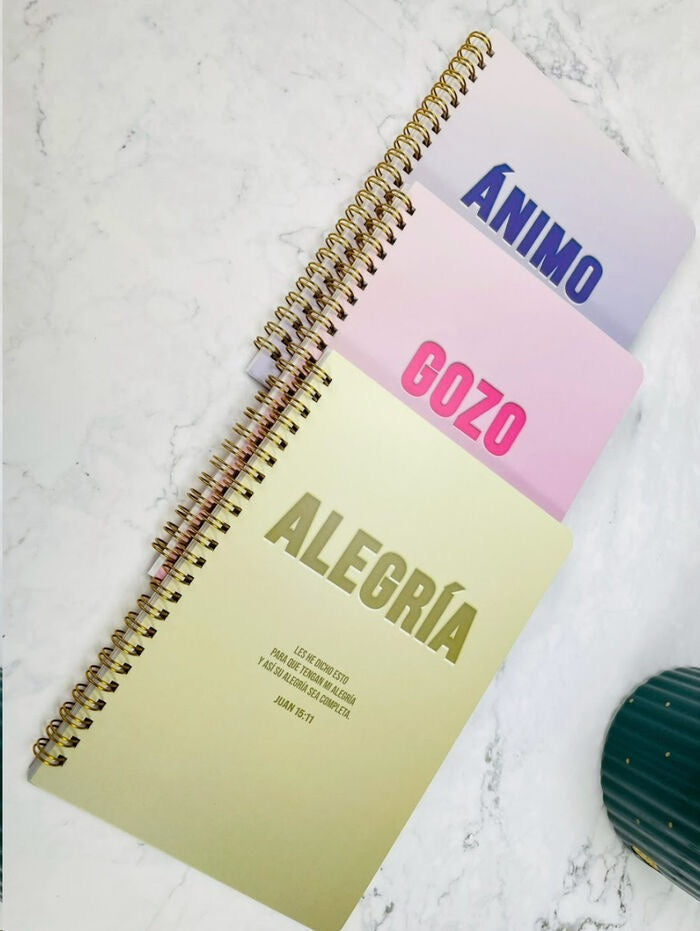 PAck 3 libretas GRANDES de ánimo